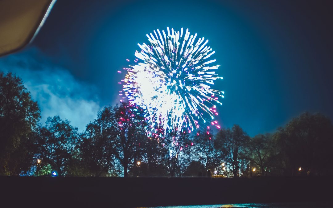 Bonfire Night Cruises